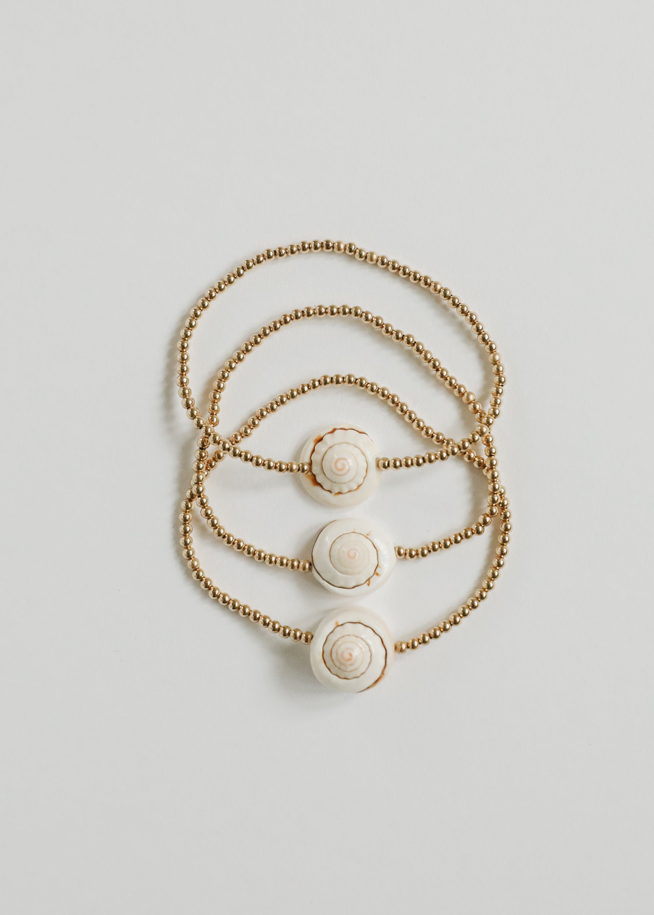 14K Gold-Filled Conch Shell Bracelet or Anklet